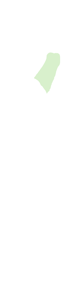 Calcaneus