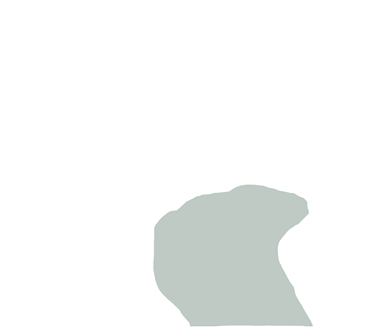 Tibia