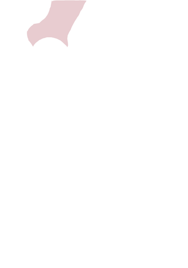 Scapula