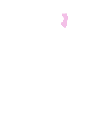 Ulna