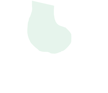 Femur