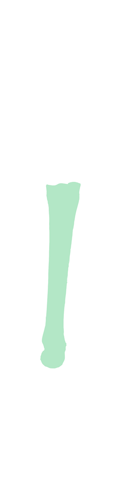 Metarsal 3 and 4