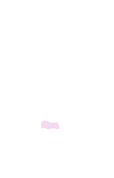 2nd and 3rd Tarsal Bone