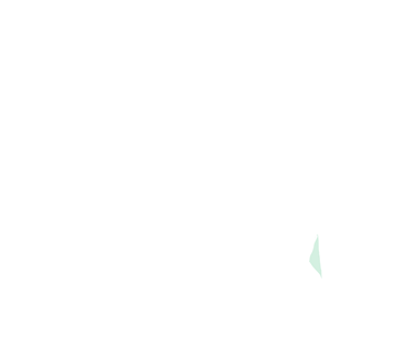 Fibula