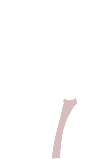 Radius
