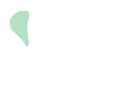 Patella