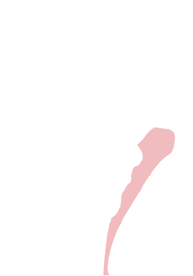 Ulna
