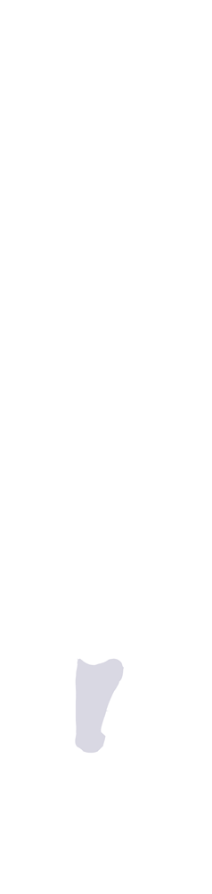 P1
