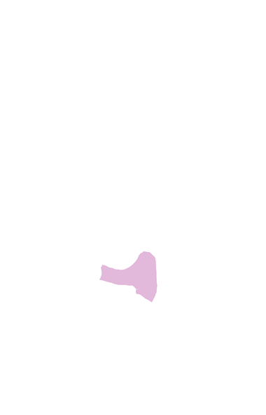Central and 4th Tarsal Bone