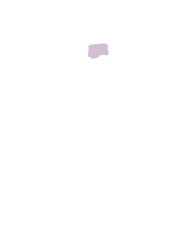 Intermediate Carpal Bone