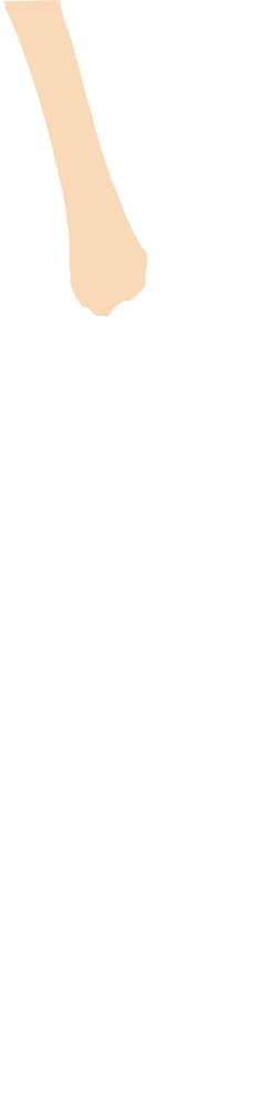 Tibia